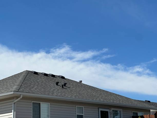 Professional Roofing Service in Mcelhattan, PA